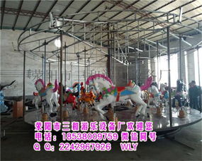 新款兒童游樂設(shè)施豪華轉(zhuǎn)馬HHZM 滎陽(yáng)市三和游樂設(shè)備廠的專業(yè)研發(fā)與制造
