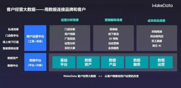 2019全球數(shù)字價(jià)值峰會 WakeData李柯辰——以數(shù)據(jù)為橋，連接品牌與客戶