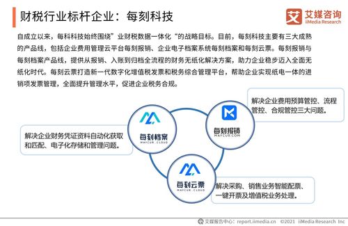 2021上半年中國財(cái)稅類企業(yè)服務(wù)專題研究報(bào)告 數(shù)字化浪潮下的機(jī)遇與挑戰(zhàn)